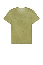 view 4 of 4 T-SHIRT in Vintage Fennel