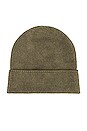 view 3 of 3 The Andes Beanie in Avocado Mirage