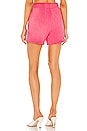 view 3 of 4 The Brooklyn Short in Hot Pink Mix
