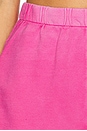 view 6 of 6 Roma Short in Vintage Cerise