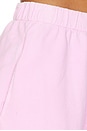 view 6 of 6 The Roma Short in Vintage Flamingo