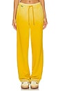 view 1 of 6 Boston Trouser in Vintage Saffron