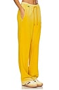 view 2 of 6 Boston Trouser in Vintage Saffron