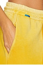 view 6 of 6 Boston Trouser in Vintage Saffron
