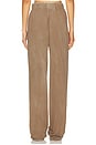 view 4 of 6 Standard Pant in Vintage Camel