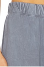 view 6 of 6 Standard Pant in Vintage Natural Blue