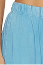 view 6 of 6 The Standard Pant in Vintage Azure Blue