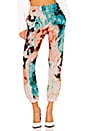 view 1 of 4 Brooklyn Sweatpant in Chromatic Blast