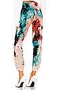 view 3 of 4 Brooklyn Sweatpant in Chromatic Blast