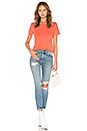 view 4 of 4 The Standard Tee in Vintage Hibiscus