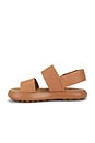 view 5 of 5 Pelotas Flota Sandal in Brown