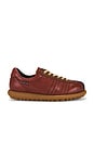 view 1 of 6 ZAPATILLA DEPORTIVA PELOTAS ARIEL in Brown
