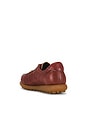 view 3 of 6 ZAPATILLA DEPORTIVA PELOTAS ARIEL in Brown
