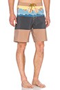 view 2 of 3 Sailing Boardshorts in Bronze
