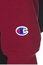 view 5 of 5 Reverse Weave Pullover Hoodie in Pomegranate