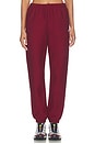 view 2 of 7 Reverse Weave Sweatpant in Pomegranate