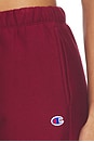 view 7 of 7 Reverse Weave Sweatpant in Pomegranate
