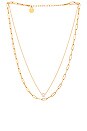 view 1 of 2 Roland Pearl Necklace in Yellow Gold