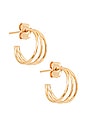 view 1 of 3 Ross Earrings in Yellow Gold