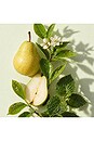 view 3 of 6 Good Anjou Fragrance in 