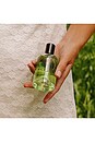 view 6 of 6 Good Anjou Fragrance in 