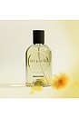 view 2 of 6 Brain Stem Fragrance in 