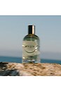 view 5 of 6 Brain Stem Fragrance in 