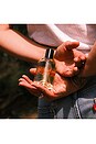 view 6 of 6 Brain Stem Fragrance in 