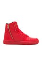 view 1 of 6 Adonis in Red Ripple