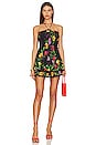 view 1 of 3 Cusia Short Dress in Black Bonita