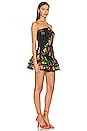 view 2 of 3 Cusia Short Dress in Black Bonita
