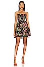 view 1 of 3 Yaca Dress in Black Fresca