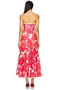 view 3 of 4 Ambar Long Dress in White Blossom
