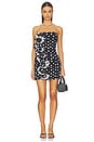 view 1 of 3 VESTIDO CORTO ROCIO in Black Dots