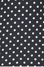 view 4 of 4 VESTIDO LARGO JIMENA in Black Dots