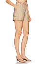 view 2 of 6 Pansy Short in Olive Botanic