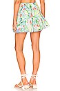 view 3 of 4 Gia Skirt in Barbary