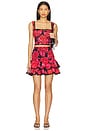 view 5 of 6 Pinel Short Skirt in Black Blossom