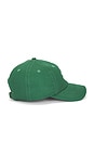 view 3 of 3 모자 in Green