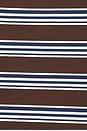 view 6 of 5 Mini Stripe Long Sleeve Rugby in Brown