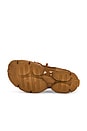 view 6 of 6 ZAPATILLA DEPORTIVA TOSSU in Brown