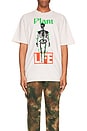 view 3 of 3 Plant Life Tee in Beige