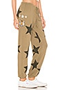 view 2 of 4 Star Patch Pant in Earth