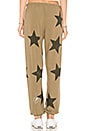 view 3 of 4 Star Patch Pant in Earth