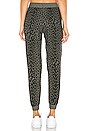 view 3 of 4 Cozy Knit Sweatpant in Safari