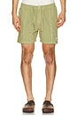 view 1 of 5 SHORT NA in Dusty Green