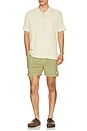 view 3 of 5 SHORT NA in Dusty Green