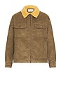 view 4 of 5 Coastal Cord Jacket in Brown