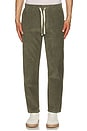 view 4 of 6 All Day Cord Pant in Sage
