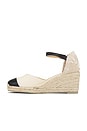 view 5 of 5 Coralin Wedge in Crudo